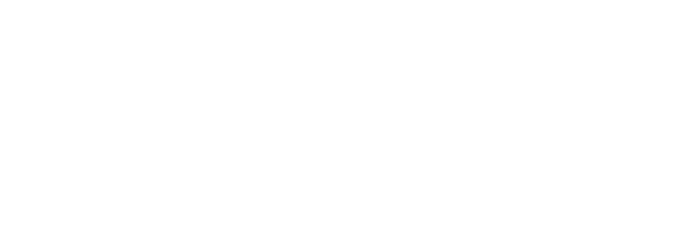 Liderança & Sabedoria